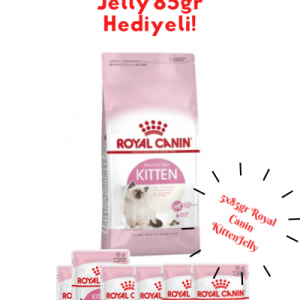 ROYAL CANIN FHN KITTEN 10K