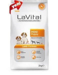 LAVİTAL MİNİ PUPPY SALMON FORMULA 2 KG